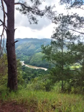 jarabacoa terreno en venta