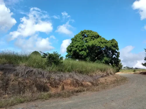 proyecto de terrenos en venta