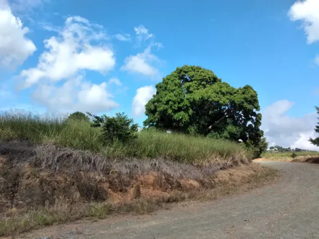 proyecto de terrenos en venta