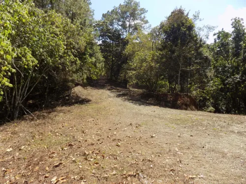 proyectos en jarabacoa