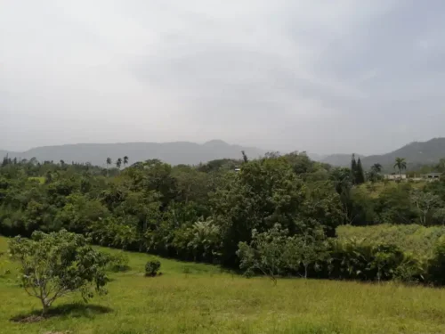 solar en venta jarabacoa