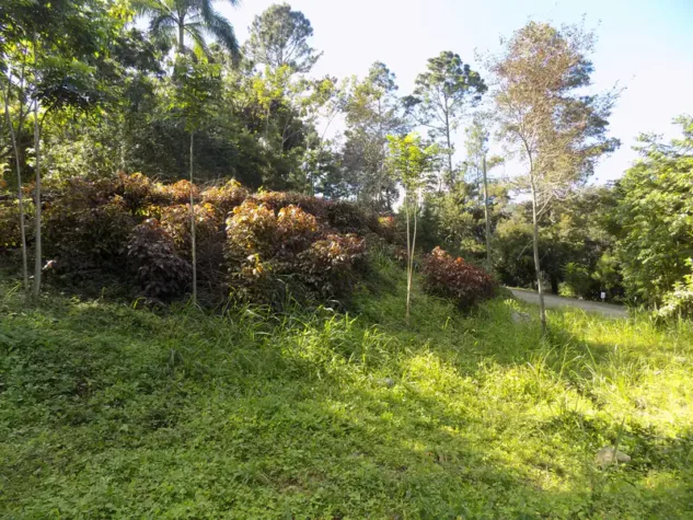 solares baratos jarabacoa