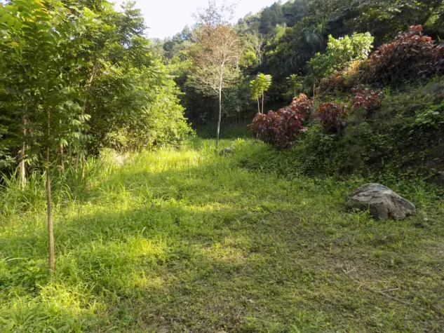 solares de venta jarabacoa