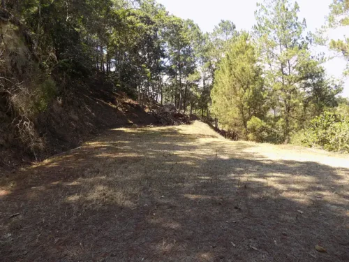 solares para inversion