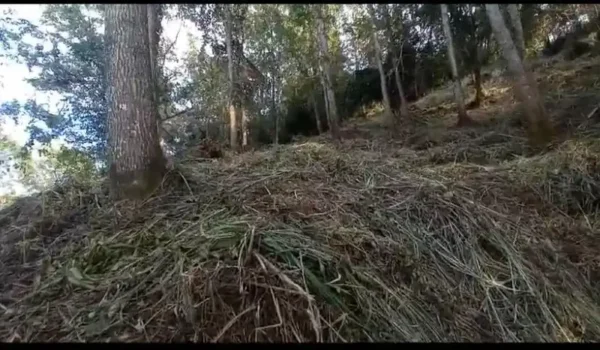 solares venta jarabacoa