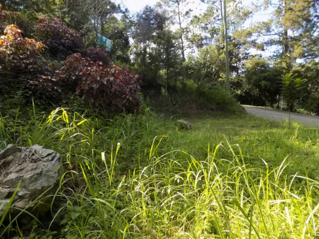 solares venta jarabacoa