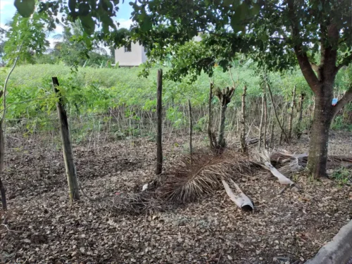 terreno de venta en jarabacoa