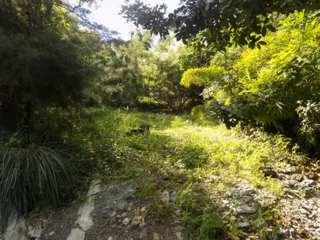 terreno de venta jarabacoa