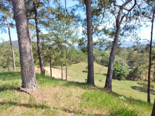 terreno en jarabacoa