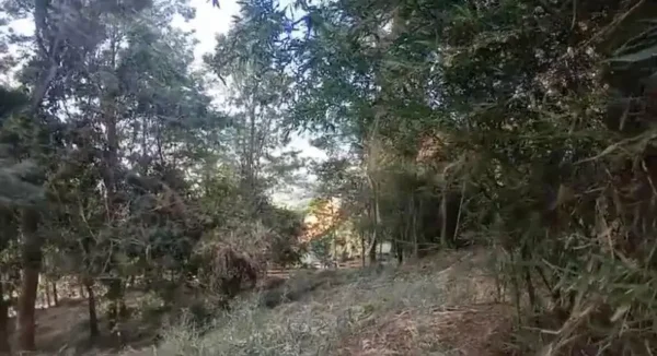 terreno en venta en jarabacoa