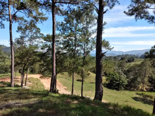 terreno venta jumunuco jarabacoa