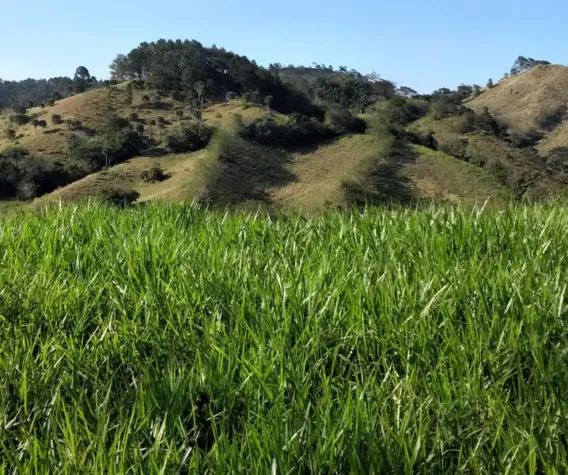 vista terrenos jarabacoa