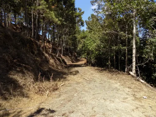 terrenos para proyectos